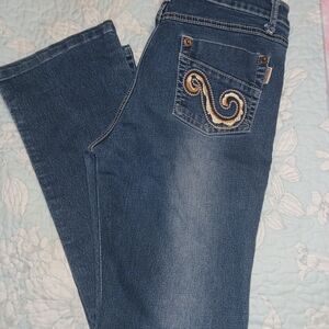 Classic Blue Straight Leg Jeans with Embroidered Detail